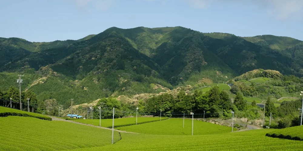 東京から地方への移住支援を拡大する日本政府